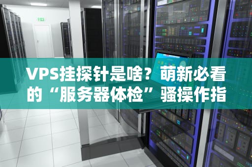 VPS挂探针是啥？萌新必看的“服务器体检”骚操作指南！