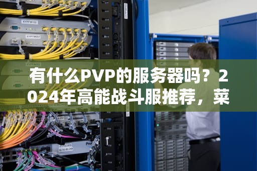 有什么PVP的服务器吗？2024年高能战斗服推荐，菜鸟也能变战神！