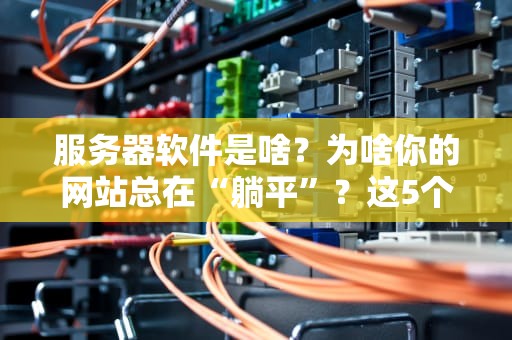服务器软件是啥？为啥你的网站总在“躺平”？这5个原因笑中带泪！