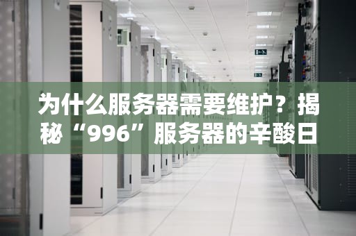 为什么服务器需要维护？揭秘“996”服务器的辛酸日常！
