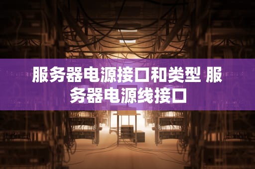 服务器电源接口和类型 服务器电源线接口