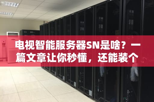 电视智能服务器SN是啥？一篇文章让你秒懂，还能装个X！