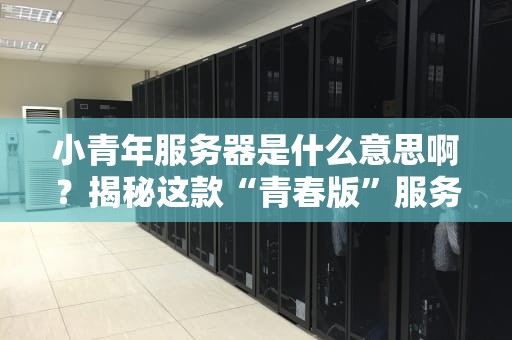小青年服务器是什么意思啊？揭秘这款“青春版”服务器的真实实力！