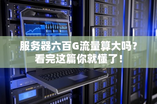 服务器六百G流量算大吗？看完这篇你就懂了！