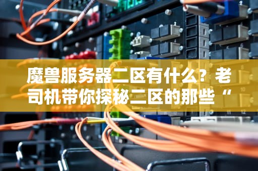 魔兽服务器二区有什么？老司机带你探秘二区的那些“宝藏”！