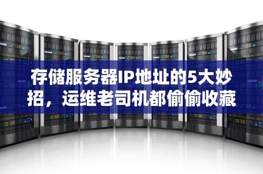 存储服务器IP地址的5大妙招，运维老司机都偷偷收藏了！