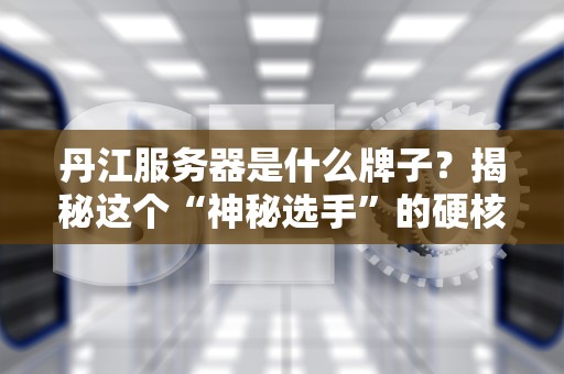 丹江服务器是什么牌子？揭秘这个“神秘选手”的硬核实力！
