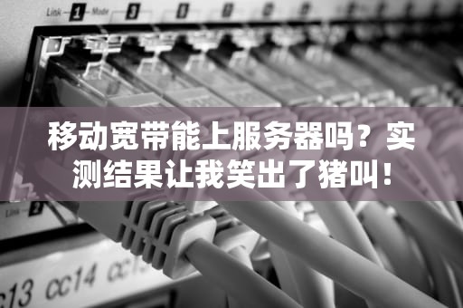 移动宽带能上服务器吗？实测结果让我笑出了猪叫！