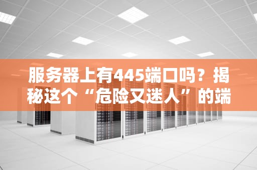 服务器上有445端口吗？揭秘这个“危险又迷人”的端口！