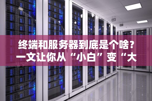 终端和服务器到底是个啥？一文让你从“小白”变“大神”（附超实用举例）