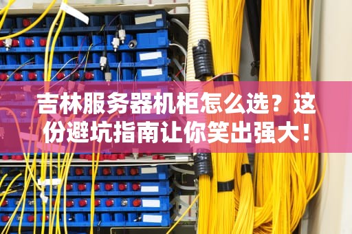 吉林服务器机柜怎么选？这份避坑指南让你笑出强大！