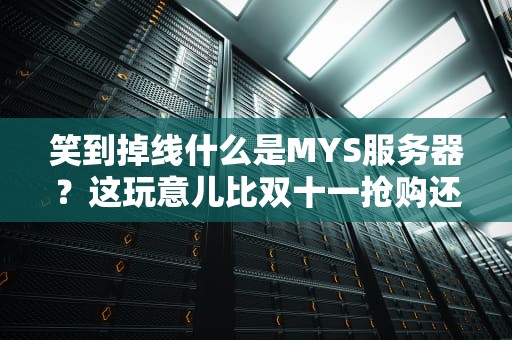 笑到掉线什么是MYS服务器？这玩意儿比双十一抢购还难懂？