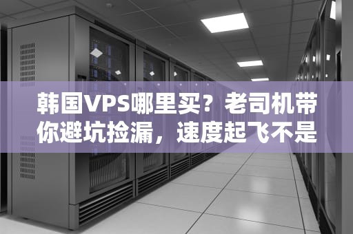 韩国VPS哪里买？老司机带你避坑捡漏，速度起飞不是梦！