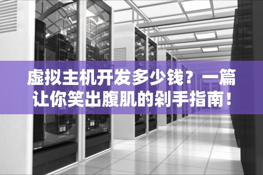虚拟主机开发多少钱？一篇让你笑出腹肌的剁手指南！