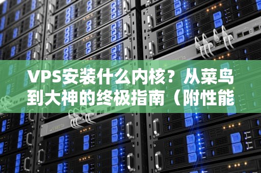 VPS安装什么内核？从菜鸟到大神的终极指南（附性能对比）