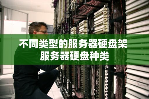 不同类型的服务器硬盘架 服务器硬盘种类