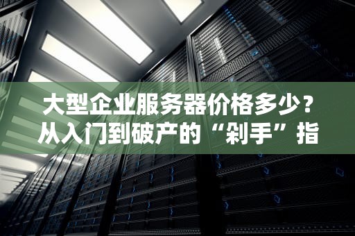 大型企业服务器价格多少？从入门到破产的“剁手”指南