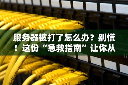 服务器被打了怎么办？别慌！这份“急救指南”让你从菜鸟变大神！