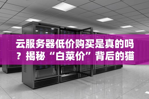 云服务器低价购买是真的吗？揭秘“白菜价”背后的猫腻与真相！