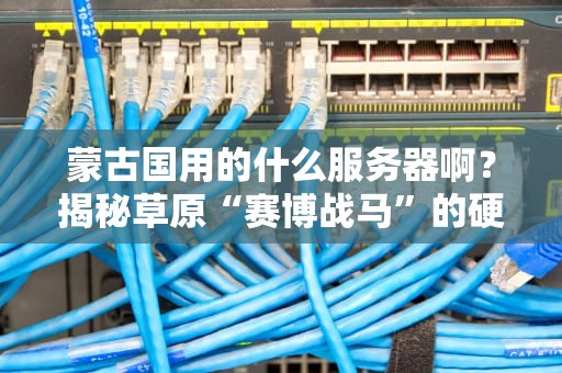 蒙古国用的什么服务器啊？揭秘草原“赛博战马”的硬核配置！