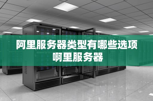 阿里服务器类型有哪些选项 啊里服务器