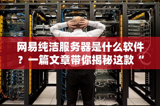 网易纯洁服务器是什么软件？一篇文章带你揭秘这款“清流”神器！