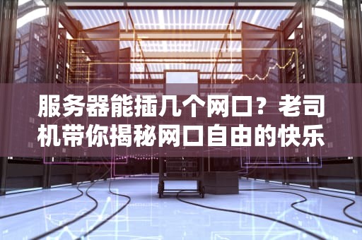 服务器能插几个网口？老司机带你揭秘网口自由的快乐！