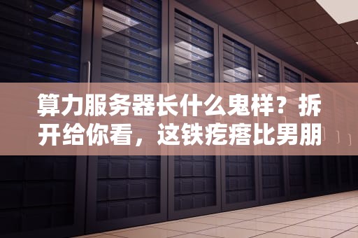 算力服务器长什么鬼样？拆开给你看，这铁疙瘩比男朋友还靠谱！