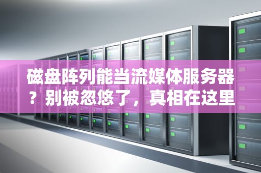 磁盘阵列能当流媒体服务器？别被忽悠了，真相在这里！