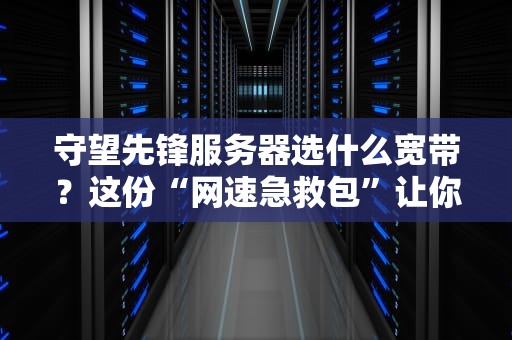 守望先锋服务器选什么宽带？这份“网速急救包”让你告别卡顿成盒！