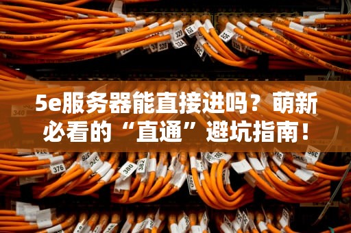 5e服务器能直接进吗？萌新必看的“直通”避坑指南！