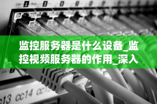 监控服务器是什么设备_监控视频服务器的作用_深入理解监控服务器及其在现代企业中的重要性