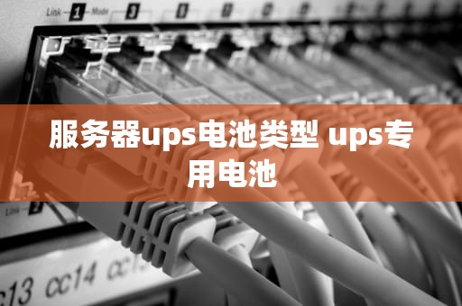 服务器ups电池类型 ups专用电池