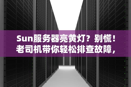 Sun服务器亮黄灯？别慌！老司机带你轻松排查故障，秒变IT大神！