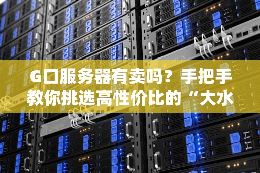 G口服务器有卖吗？手把手教你挑选高性价比的“大水管”服务器！