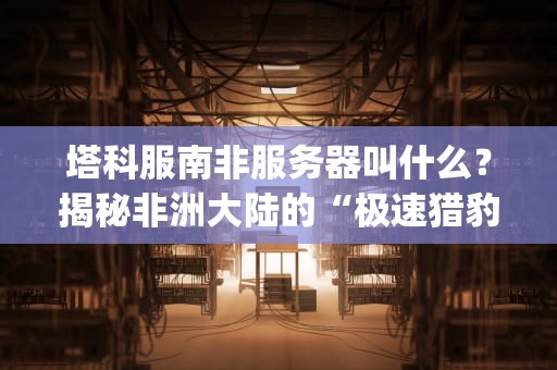 塔科服南非服务器叫什么？揭秘非洲大陆的“极速猎豹”TacoCloudJohannesburg！