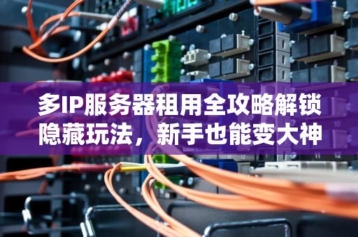 多IP服务器租用全攻略解锁隐藏玩法，新手也能变大神！