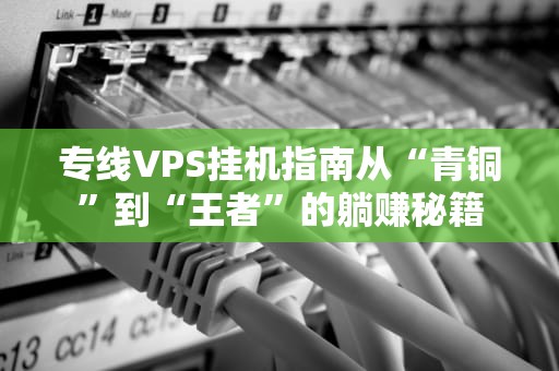 专线VPS挂机指南从“青铜”到“王者”的躺赚秘籍