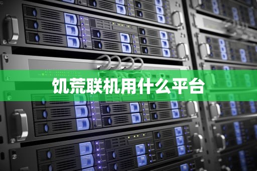 饥荒联机用什么平台