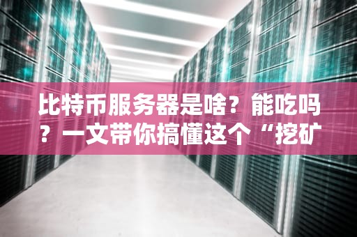 比特币服务器是啥？能吃吗？一文带你搞懂这个“挖矿神器”！