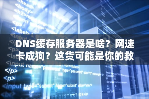 DNS缓存服务器是啥？网速卡成狗？这货可能是你的救星！