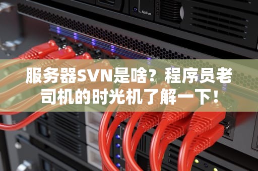 服务器SVN是啥？程序员老司机的时光机了解一下！