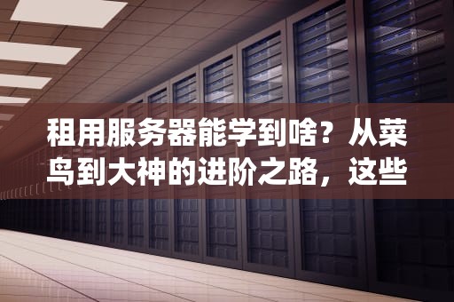 租用服务器能学到啥？从菜鸟到大神的进阶之路，这些技能你get了吗？