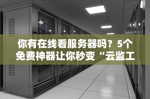 你有在线看服务器吗？5个免费神器让你秒变“云监工”！