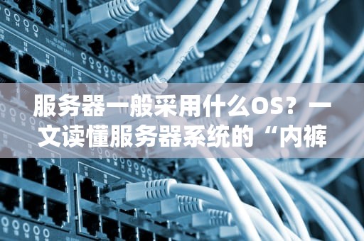 服务器一般采用什么OS？一文读懂服务器系统的“内裤”选择！