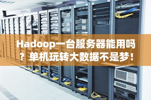 Hadoop一台服务器能用吗？单机玩转大数据不是梦！