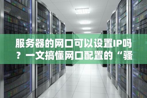 服务器的网口可以设置IP吗？一文搞懂网口配置的“骚操作”