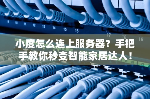 小度怎么连上服务器？手把手教你秒变智能家居达人！
