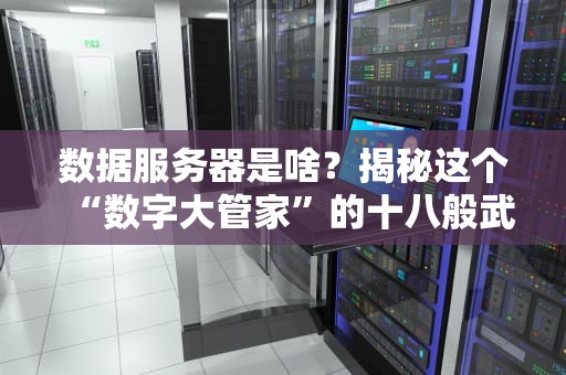 数据服务器是啥？揭秘这个“数字大管家”的十八般武艺！