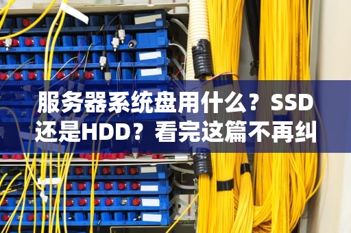 服务器系统盘用什么？SSD还是HDD？看完这篇不再纠结！